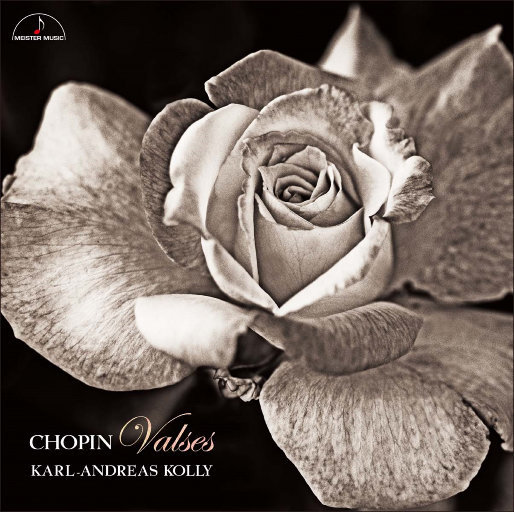 漳州硫化机厂家用小猪营销导航
